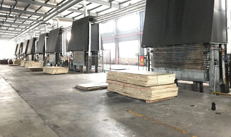 Factory Production Line